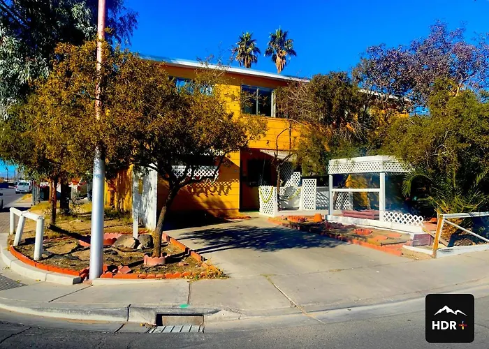 Yellow Penthouse Llc